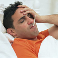 What pests carry bacteria or pathogens?