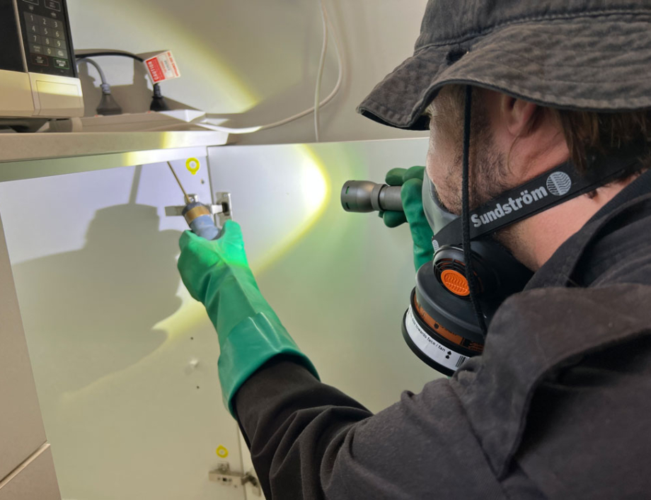 How regular pest inspections help control pests