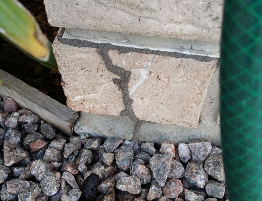 How do termites get in your home?