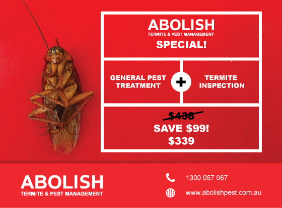 Abolish Termite Pest Management Special 2023