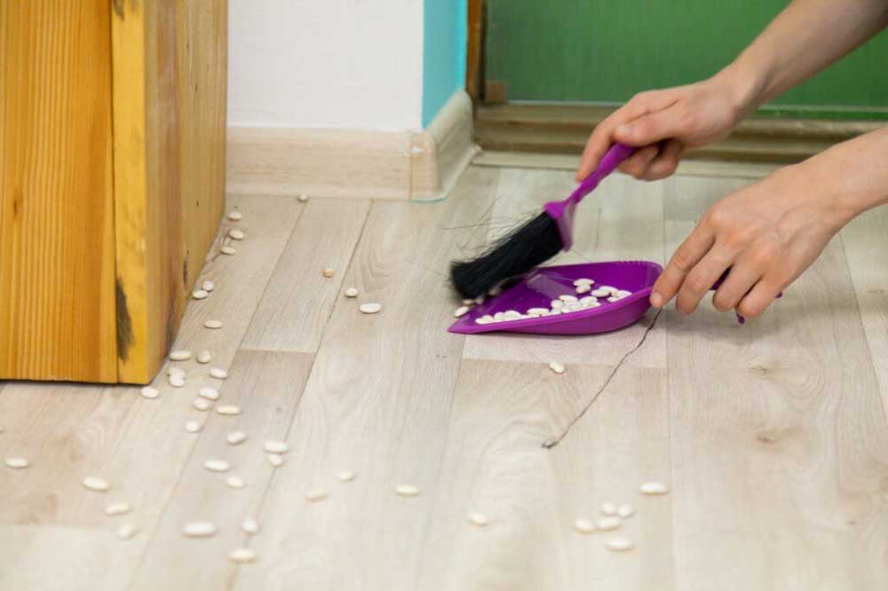 Pest-proofing your pantry: Keeping food safe from infestations